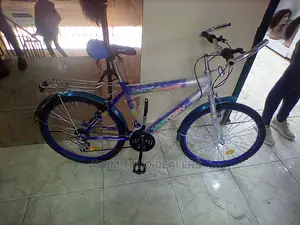 Victory Bicycle Size 24 for Adults