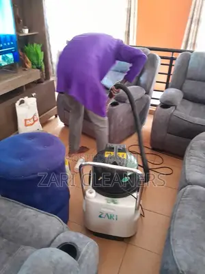 Furniture Cleaning -Fabric Sofa Cleaners -Leather Sofas