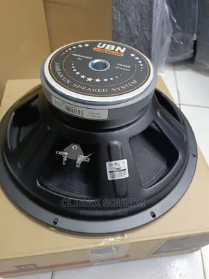 JBN 15 Inch Speaker