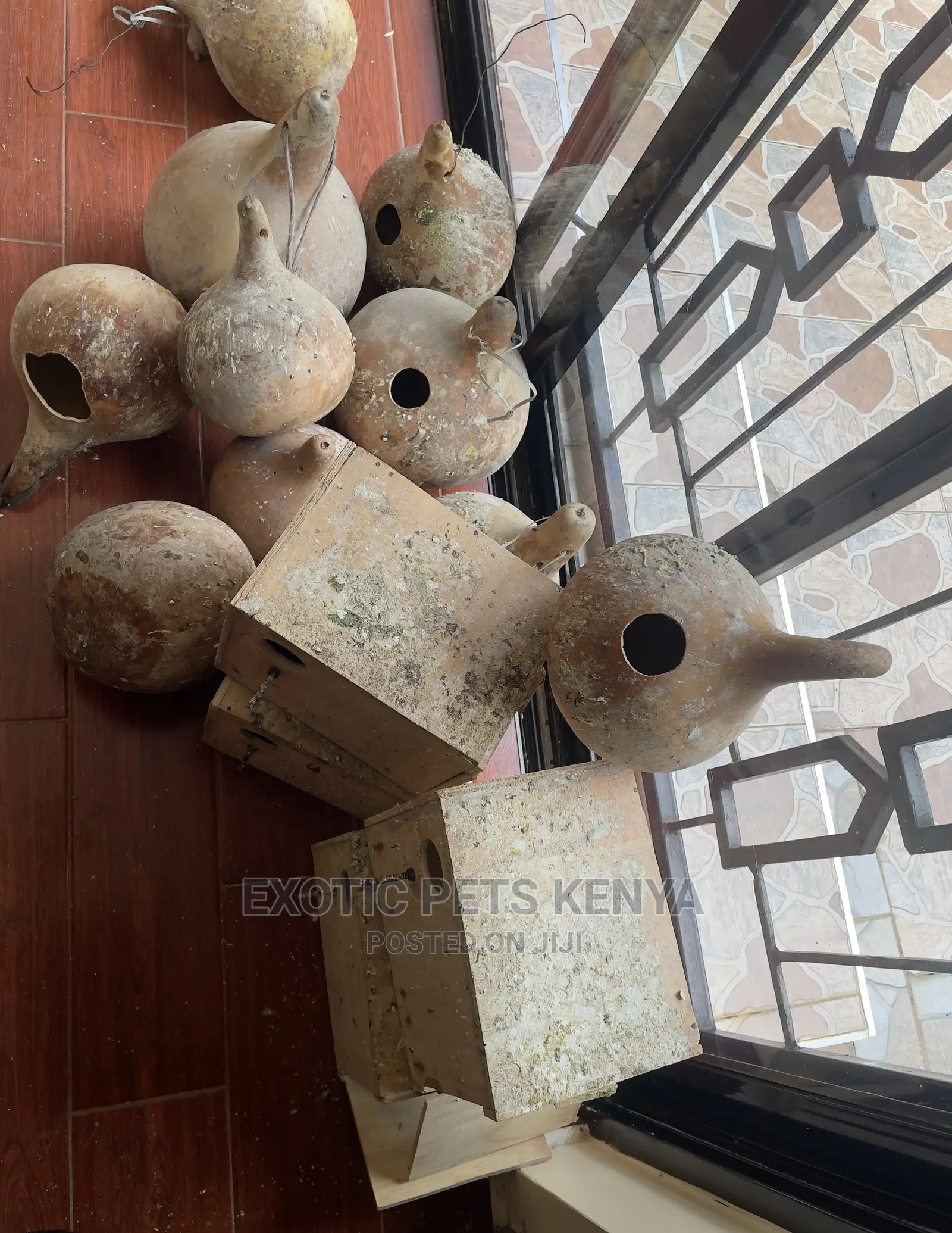 Birds Nestboxes
