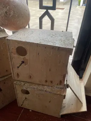 Birds Nestboxes