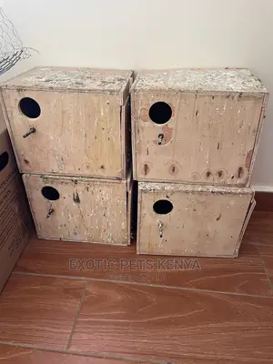 Birds Nestboxes