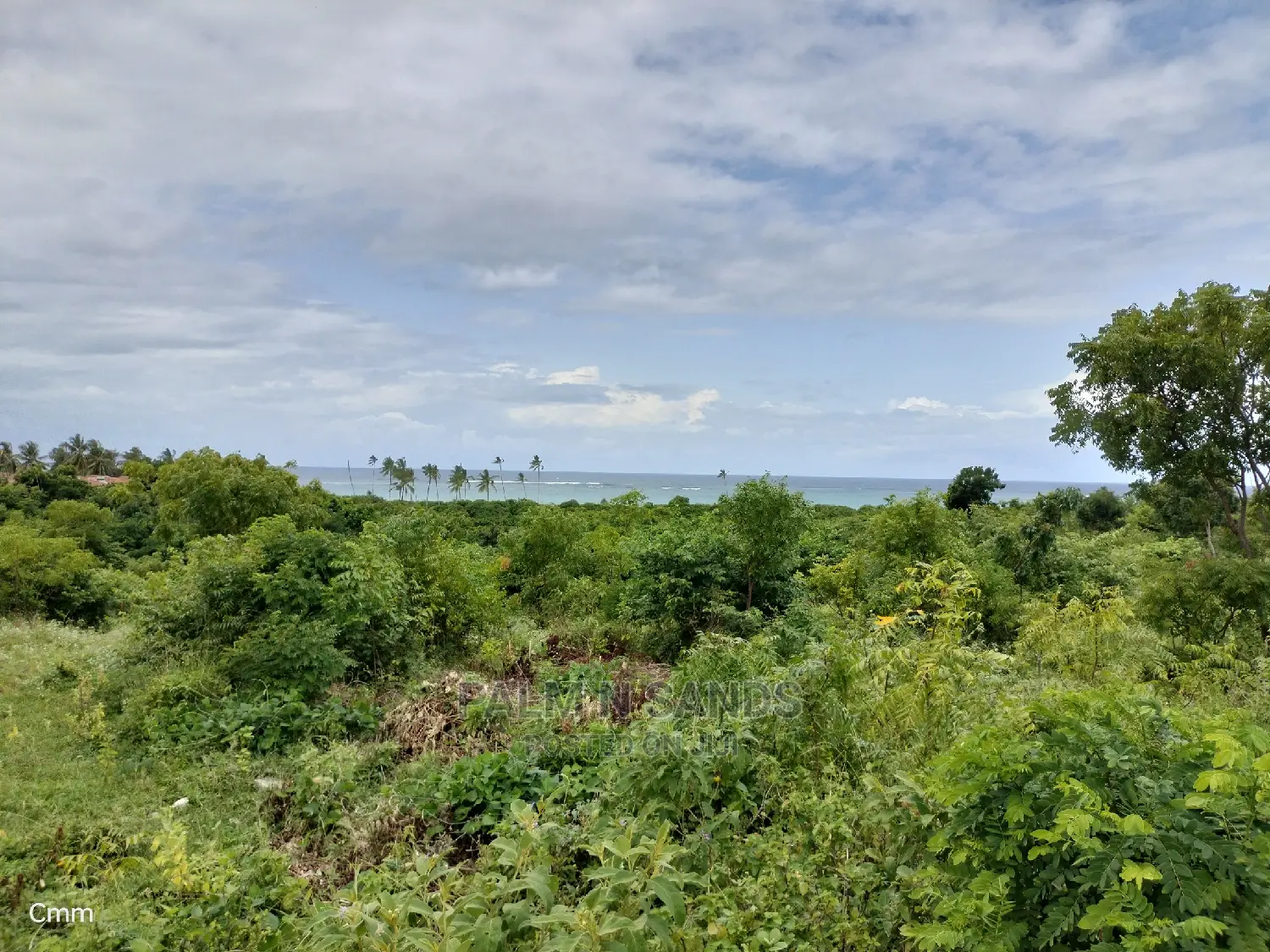 10 Acres Undeveloped Beach Front Property.
