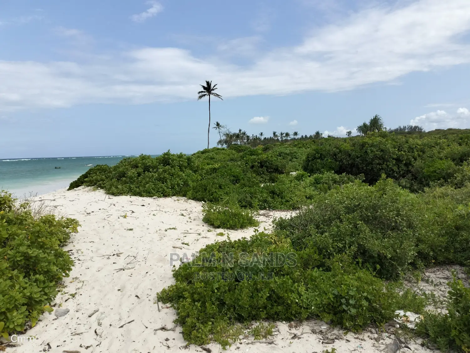 10 Acres Undeveloped Beach Front Property.