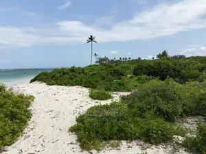 10 Acres Undeveloped Beach Front Property.