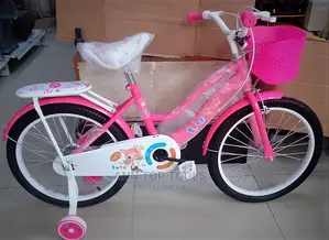 Luta Size 20 Pink Girls Bike