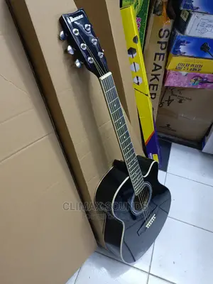 Semi Acoustic Guitar 40
