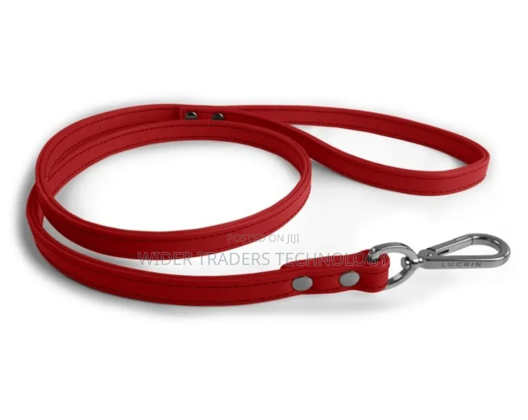 Dog Collars Harnesses $Leashes