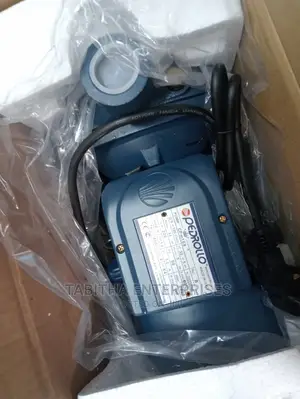 Pedrollo 1hp Water Pump New