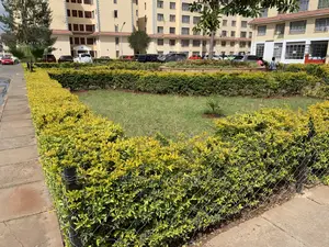 3bdrm Apartment in Greatwall Apartments, Mlolongo for sale