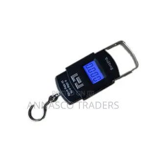 WH-A08L 50kg X 10g Capacity Mini Digital Luggage Scale Hand