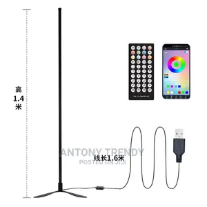 RGB Led Corner Floor Lamp