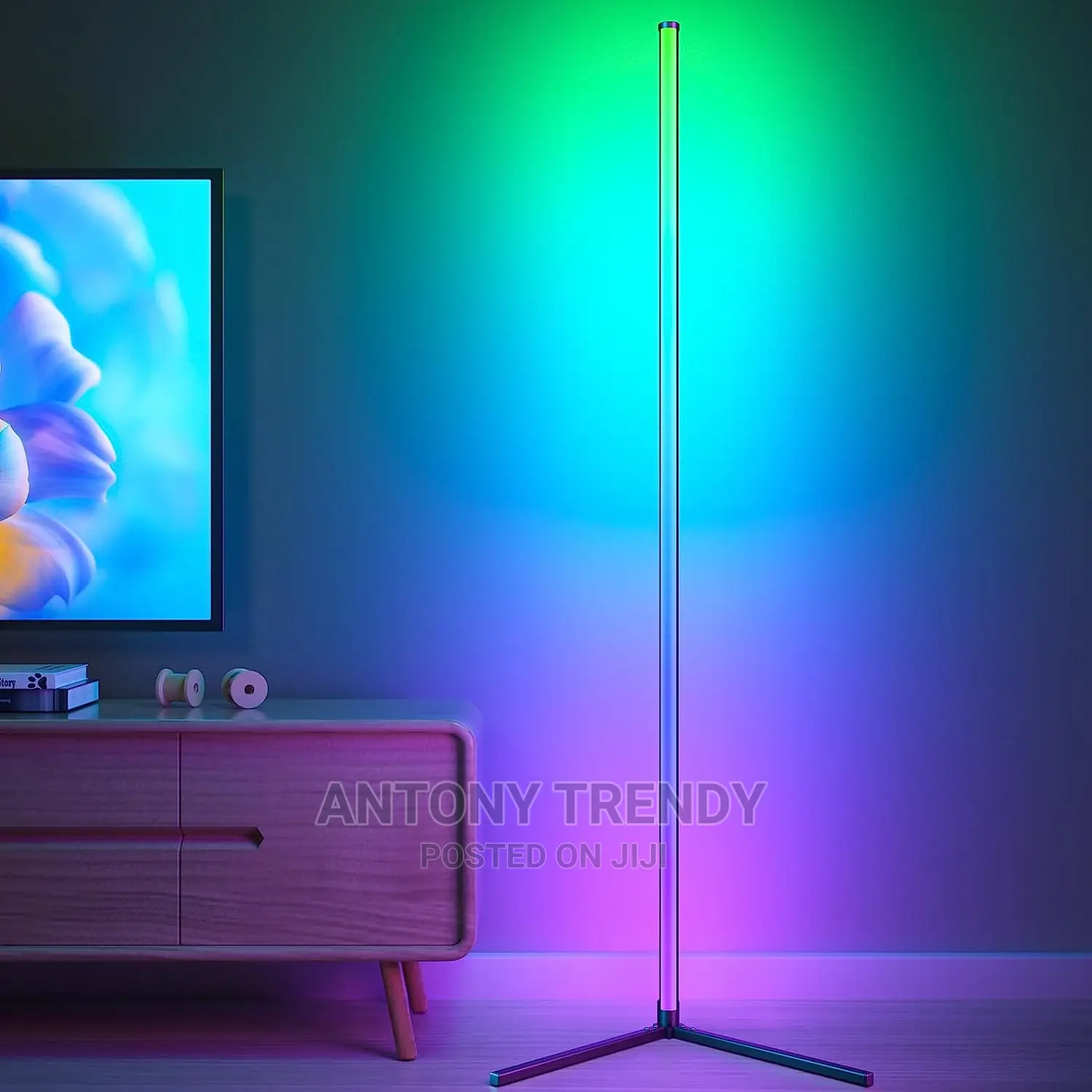 Modern Standing Mood Light With Remote App Control