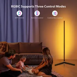 RGB Color Changing Floor Lamp