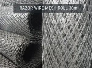Welded Razor Mesh Fence