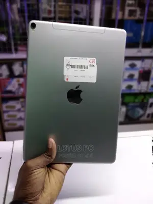 Apple iPad Pro 256 GB Gray