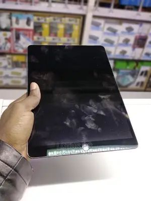 Apple iPad Pro 256 GB Gray