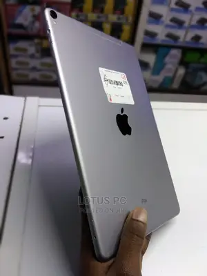 Apple iPad Pro 256 GB Gray