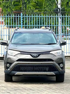 Toyota RAV4 2017 Brown