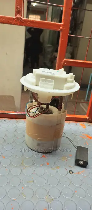 Peugeot Fuel Pump.