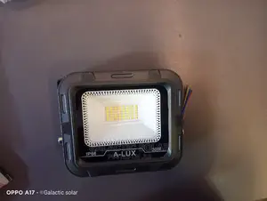 30w Floodlight