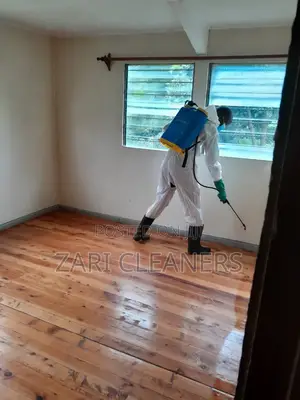 One Time Cockroaches, Bedbugs and Mosquitoes Elimination