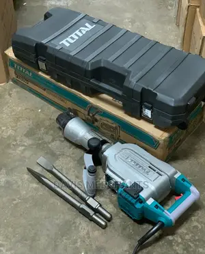 Total Demolition Breaker With 1700W and Two Bits