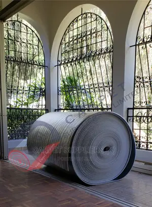 Ceiling Insulation