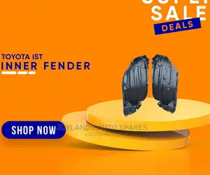 Toyota IST Stone Guards/Inner Fender