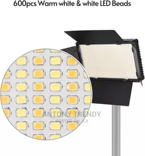 Professional LED 600 PRO With Battery Charger (KIT)