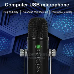Professional Microphone USB Condenser Microphone