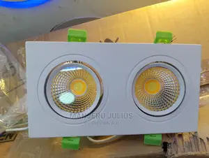 Twin 2color Downlighter