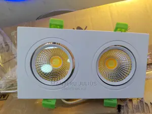 Twin 2color Downlighter