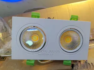 Twin 2color Downlighter