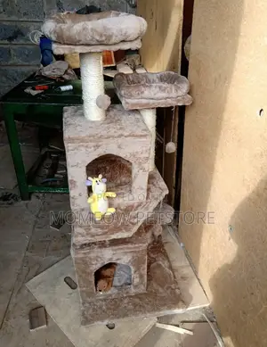 Cat Tree / Cat Tower With House