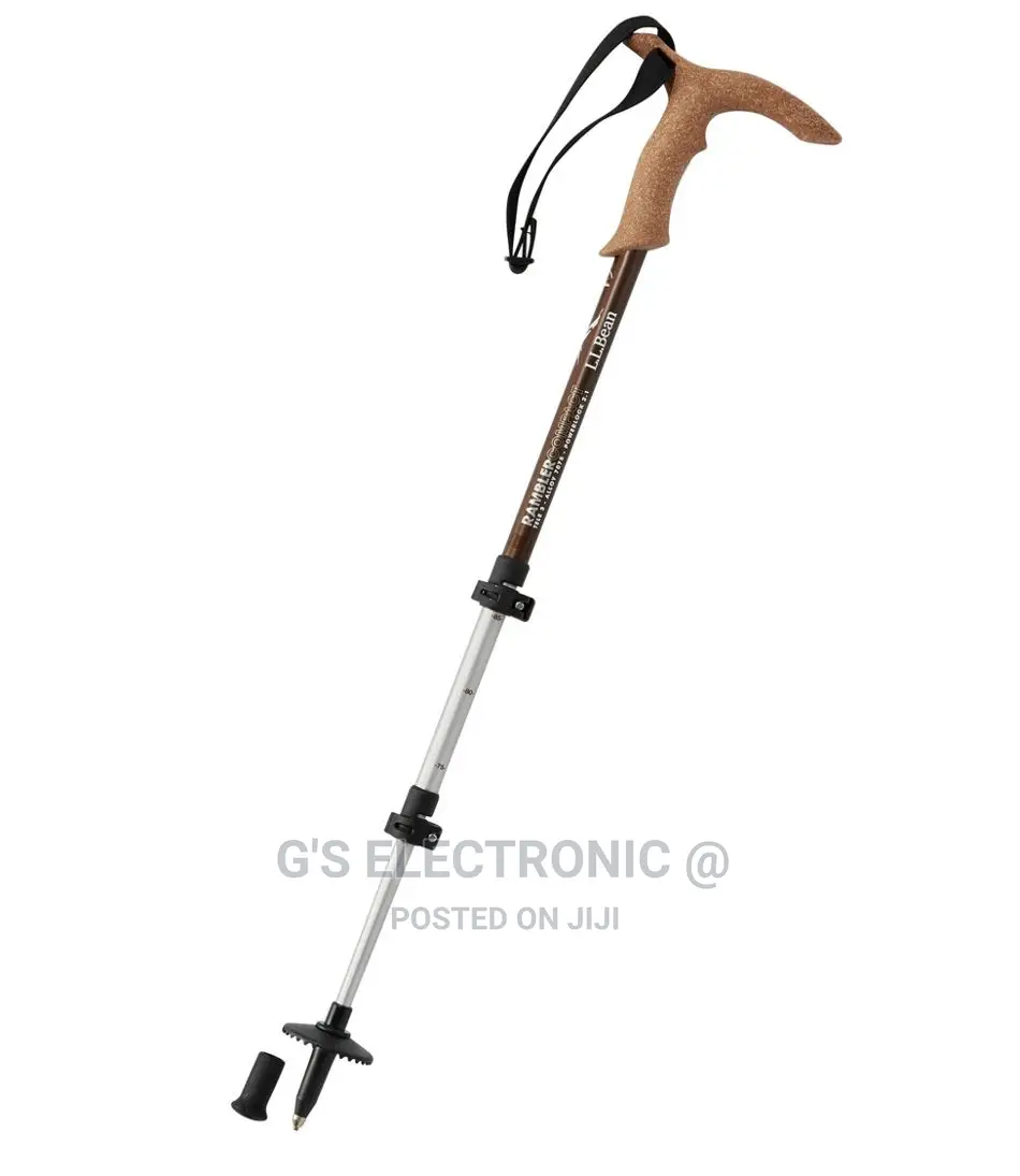 New Hiking Stick
