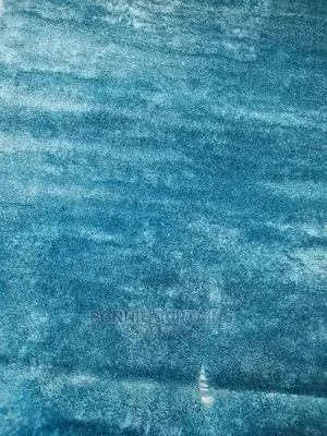 Carpet and Curtains