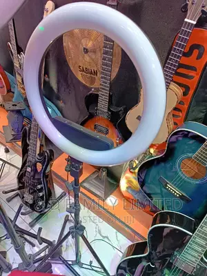 16 Inch Ring Light With Tripod Stand