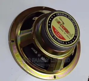 5 Core 6 Inch Naked Speaker
