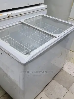 Display Freezer 320L