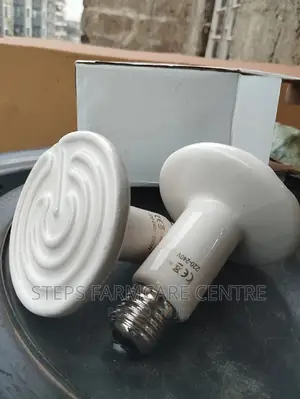 Ceramic Bulb Chick Warmers