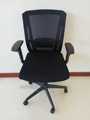 Imported Midback Orthopedic Office Chair