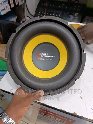 10 Inch Mobile Authority Naked Speaker