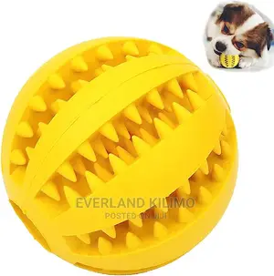 Chew Dog Toy Bone