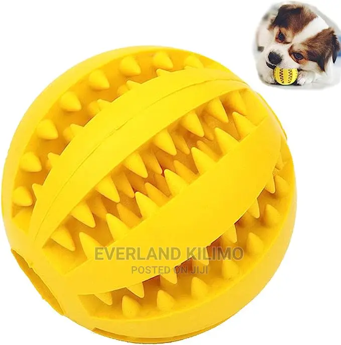 Chew Dog Toy Bone