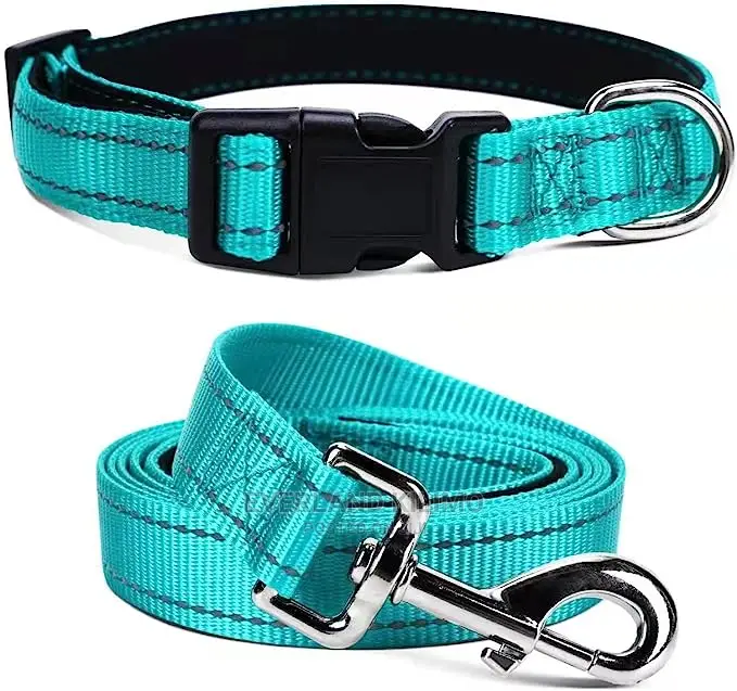 Flat Padded Leash and Collar