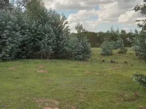 Very Prime Plots in Kasuku, Nyandarua
