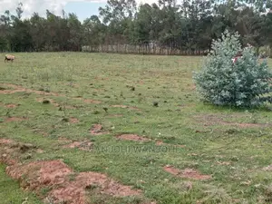 Excellent 50x100 Plots in Nyandarua