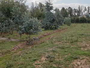 Decent Properties in Nyandarua (50×100)
