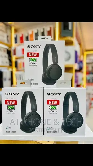 Sony WH-CH520